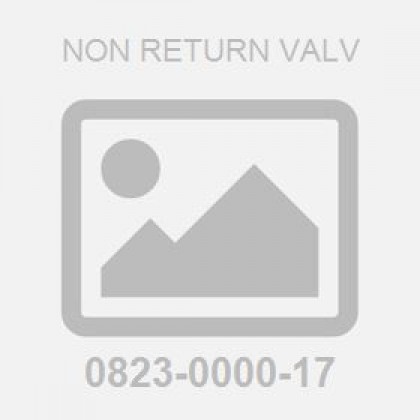 Non Return Valv